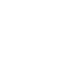 Logo QT